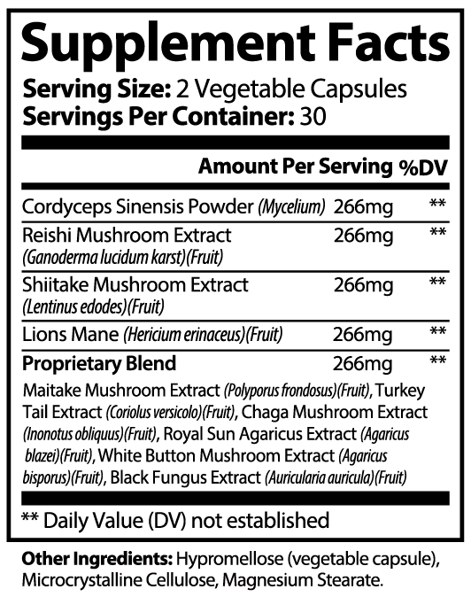 10X Mushroom Complex Supplement – Immune & Cognitive Support Blend