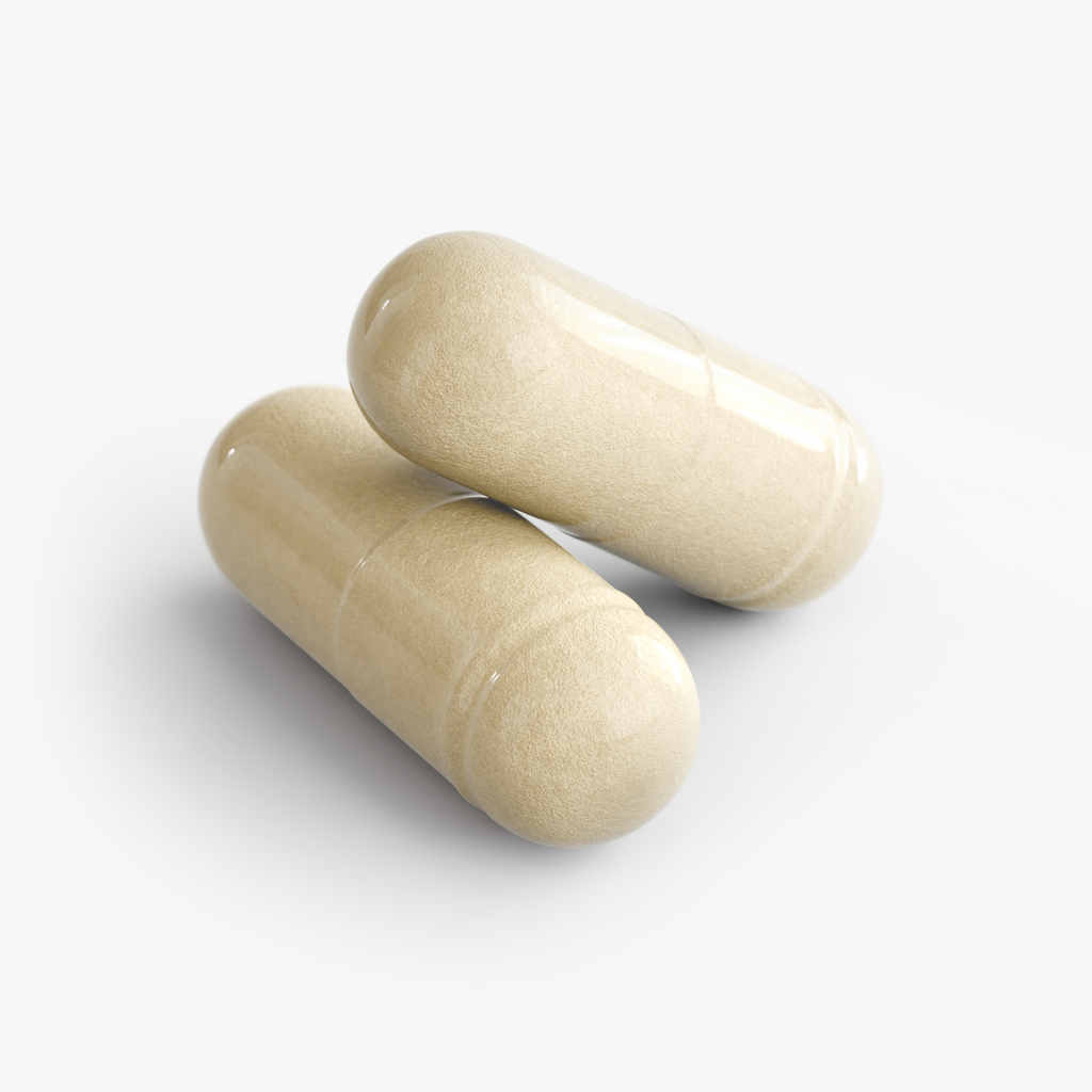 Gut Health Probiotic Supplement – Daily Digestive Balance Support