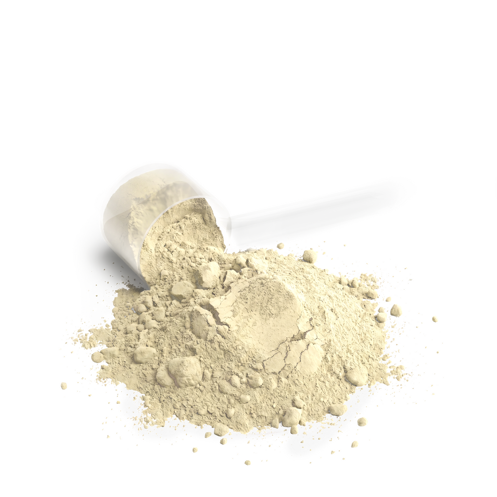 Performance Whey Protein Powder – Vanilla Flavor Muscle Recovery Blend