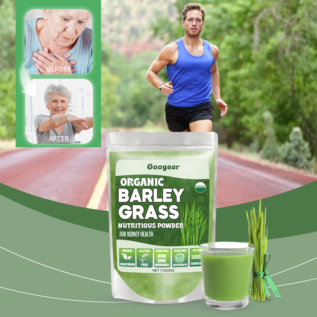 Organic Barley Grass Powder – Green Superfood for Daily Nutrition