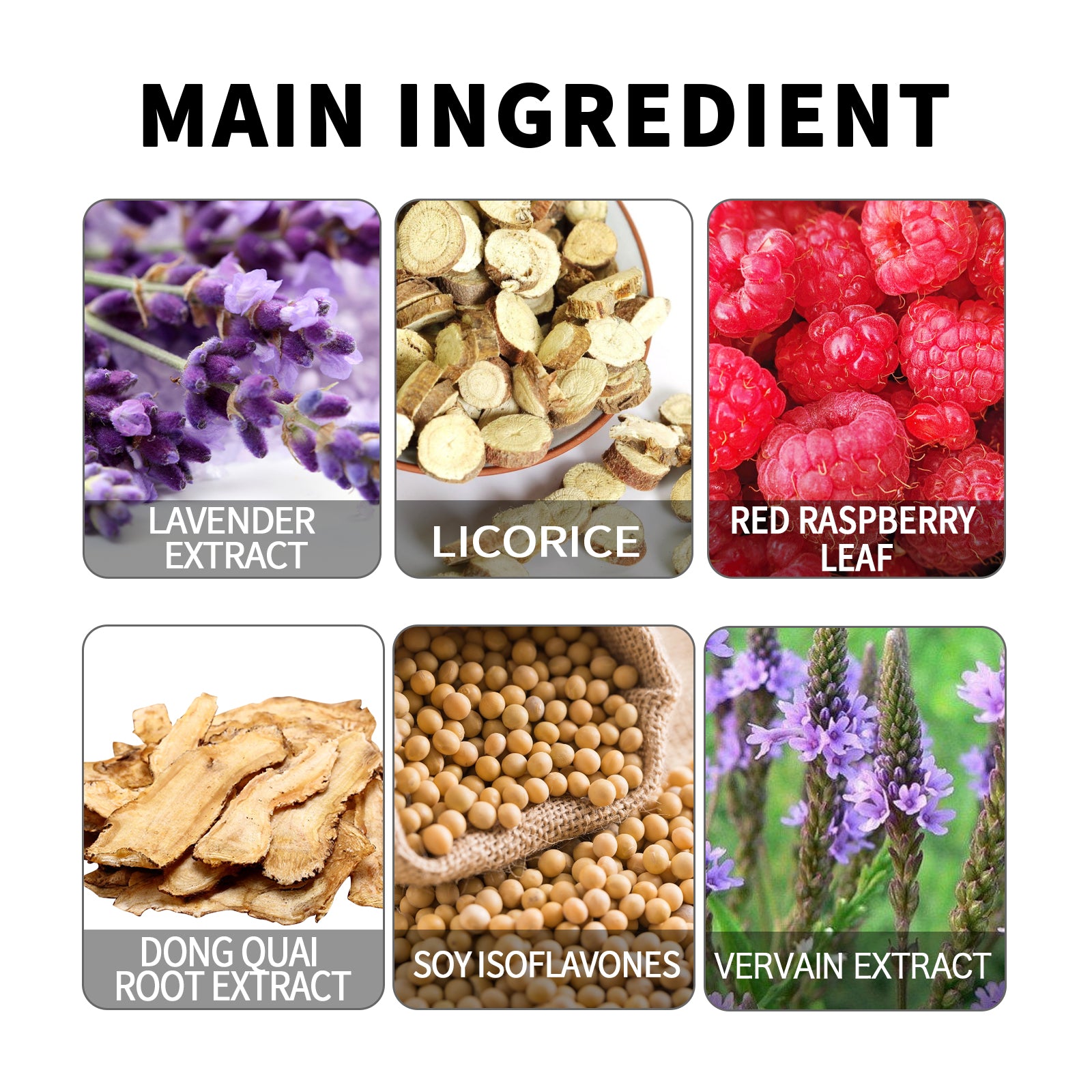 Women's Wellness Drops – Daily Hormone & Vitality Support Supplement