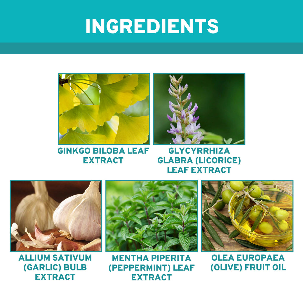 Ear Health Support Elixir – Natural Relief Drops for Ear Comfort
